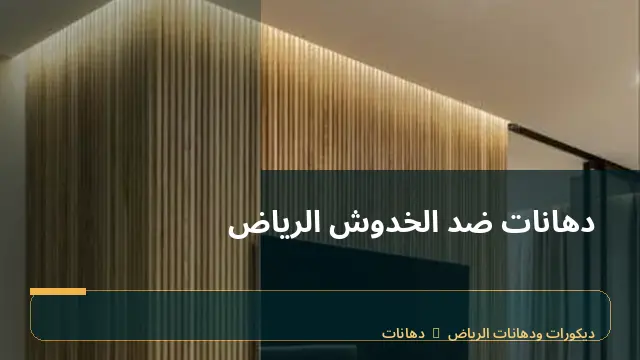 دهانات ضد الخدوش الرياض